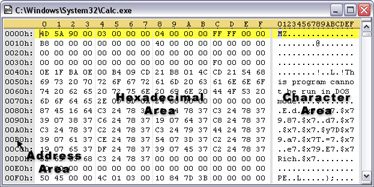 What is a Hex Editor?