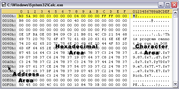 Are Addresses Stored in Hexadecimal?